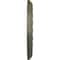 Ekena Millwork Medea Ceiling Medallion (Fits Canopies up to 5 1/2"), 16 1/2"OD x 1 1/2"P, Painted Turtle CM16MDPTF - alternate 3